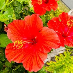 Meet your Posher, Katelyn